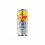Gordon’s London Dry Gin & Tonic